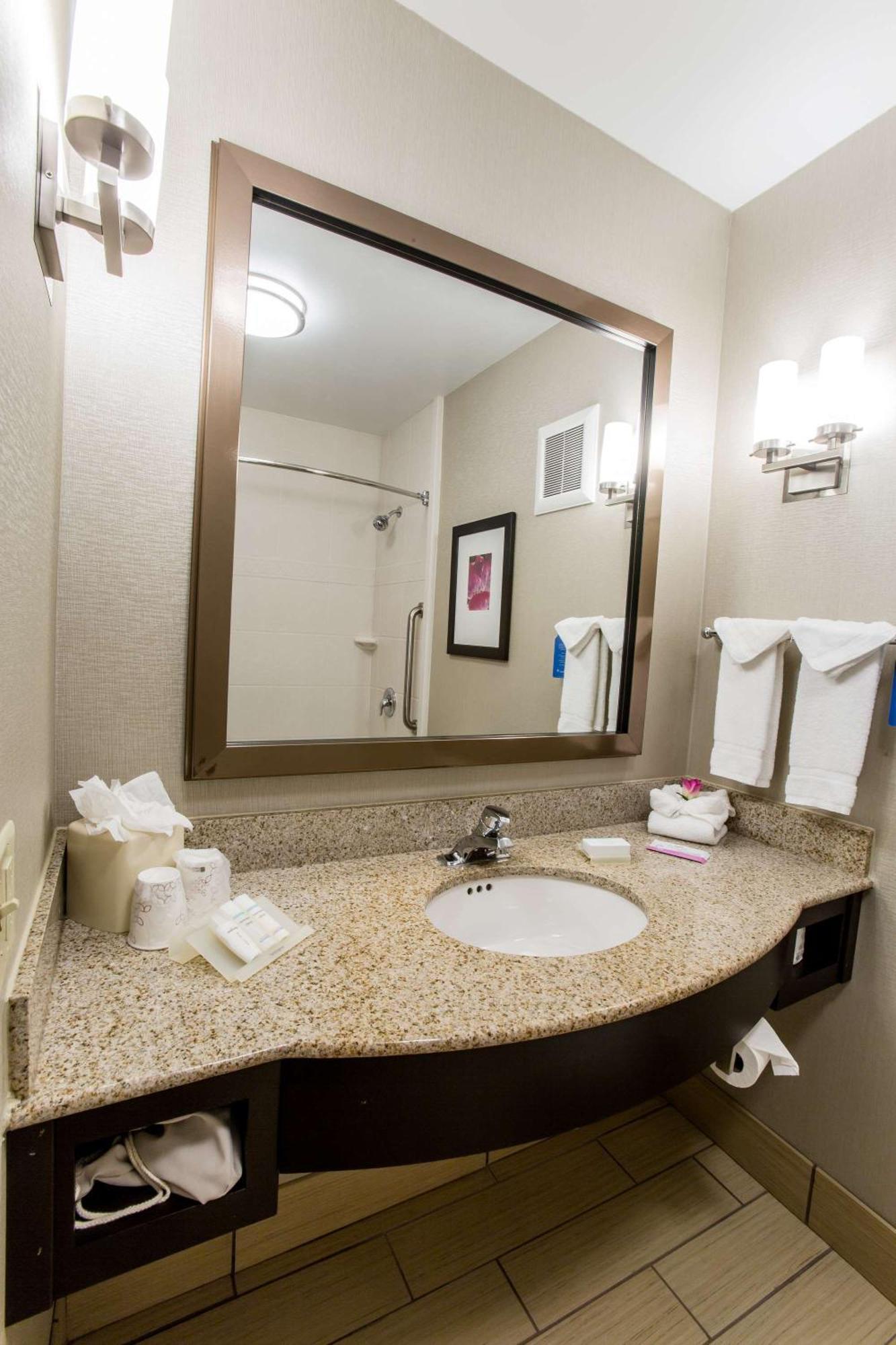 Hilton Garden Columbus/dublin Dublin